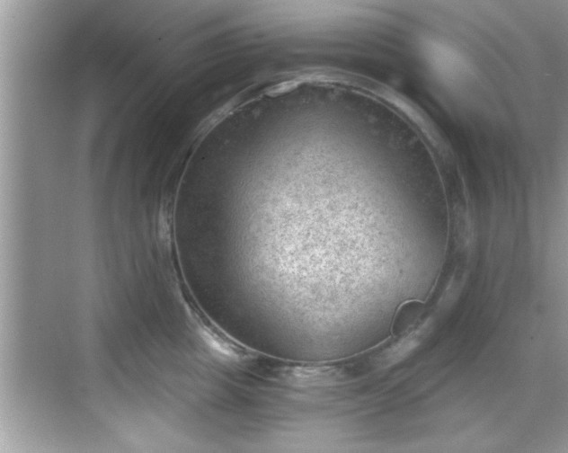 X0000068850857200605121407