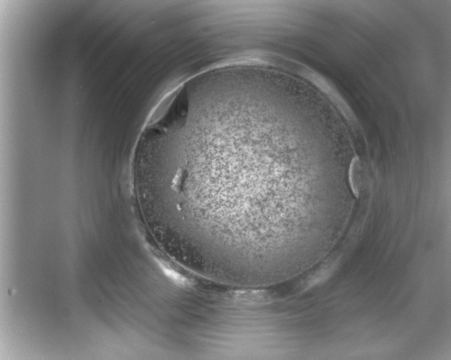 X0000068850858200605121407