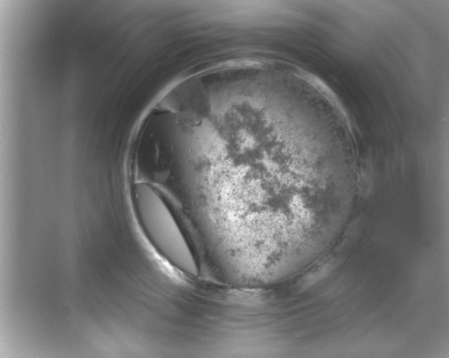 X0000068850859200605121407