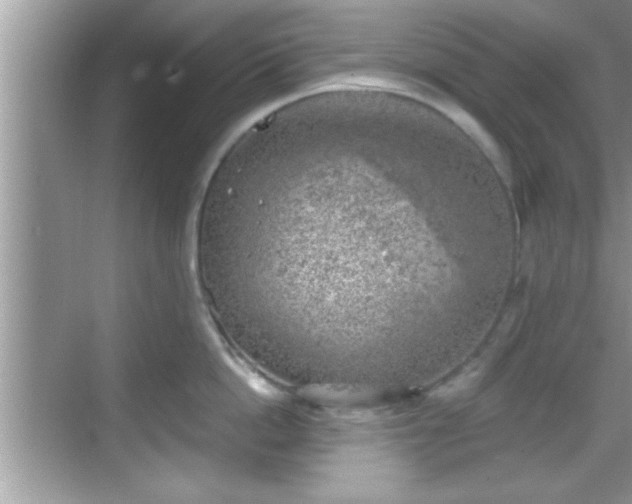 X0000068850862200605121407