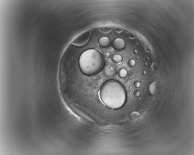 X0000068850863200605121407