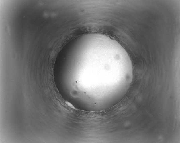 X0000068850865200605121407