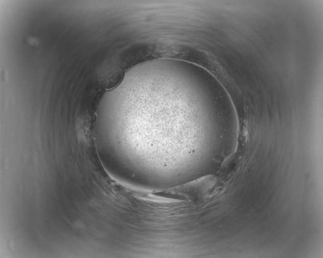 X0000068850867200605121407