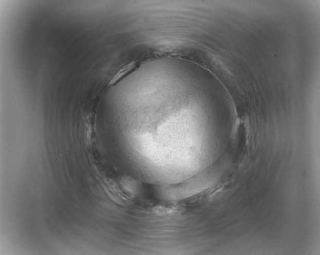 X0000068850868200605121407