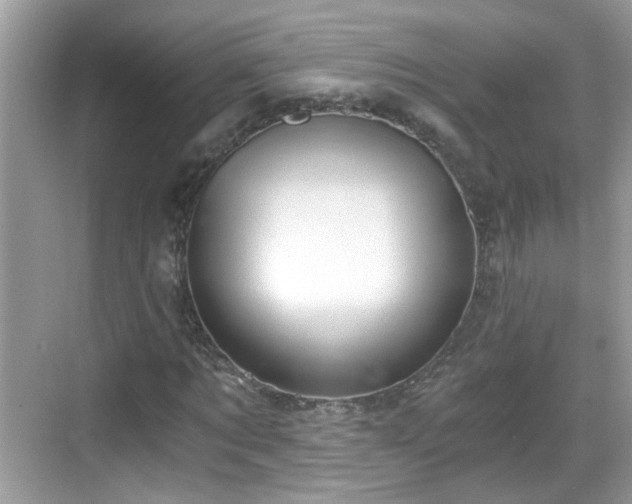 X0000068850869200605121407