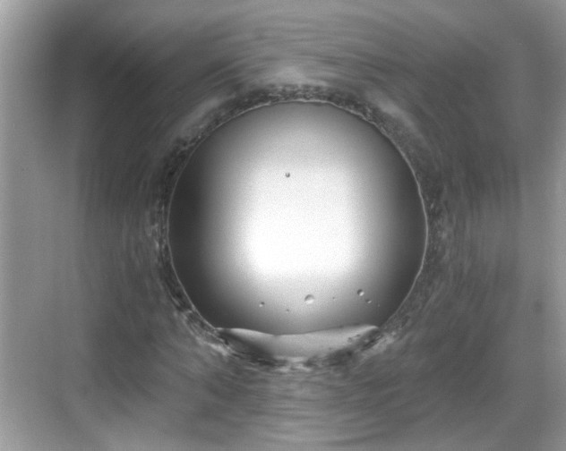 X0000068850870200605121407