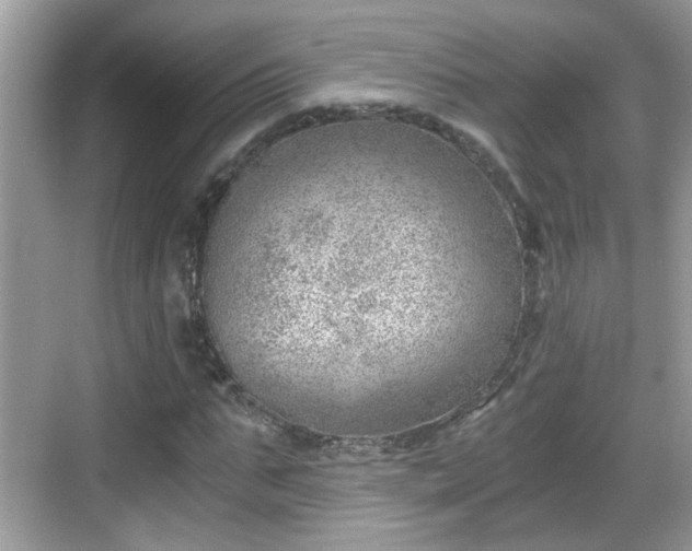 X0000068850871200605121407