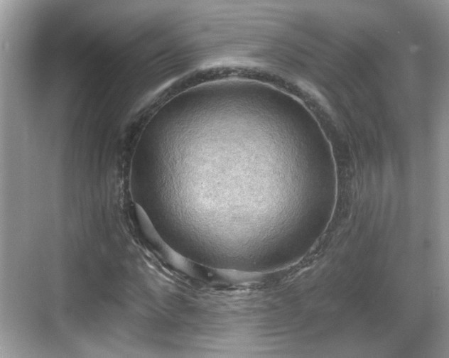 X0000068850872200605121407