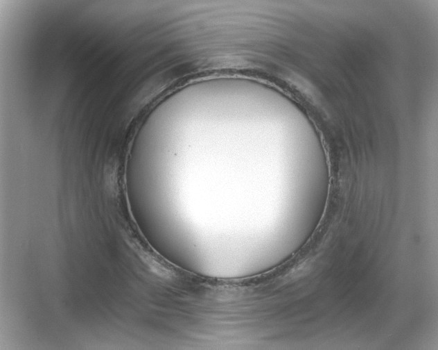 X0000068850873200605121406