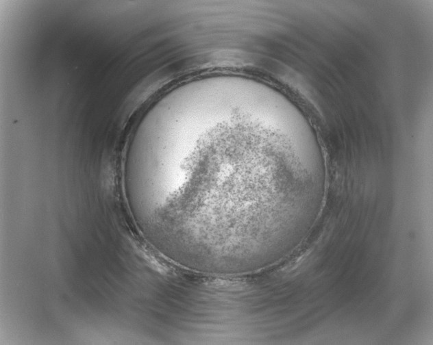 X0000068850874200605121406