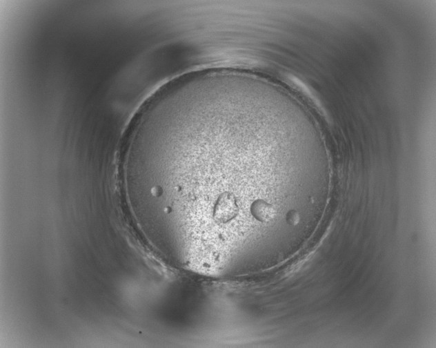 X0000068850875200605121406