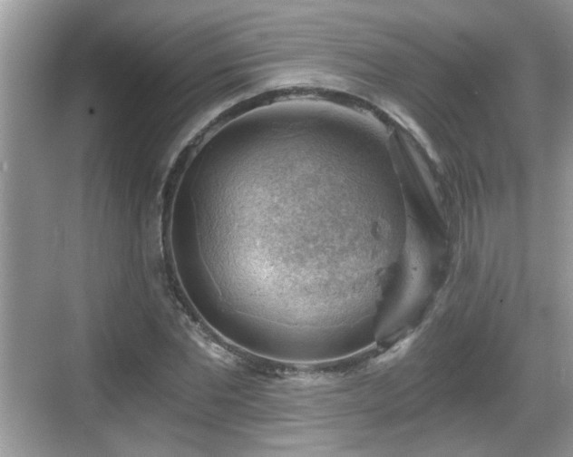 X0000068850877200605121406