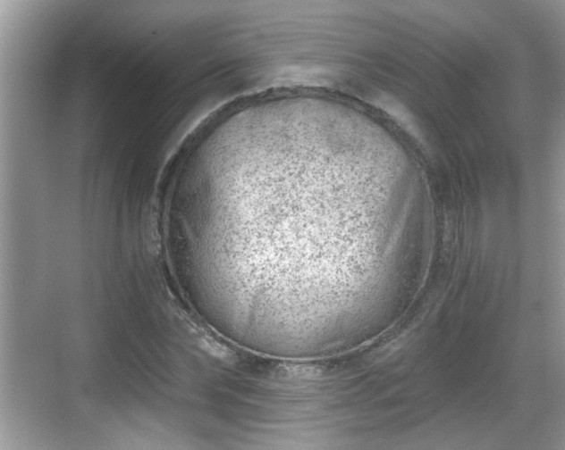 X0000068850878200605121406