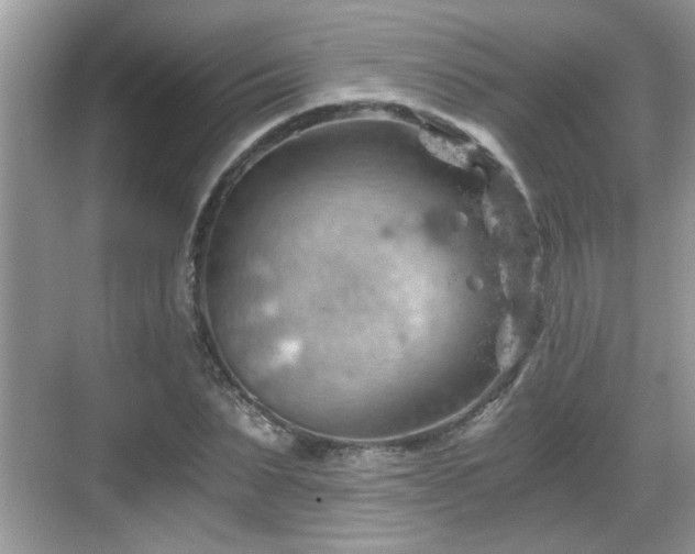 X0000068850879200605121406