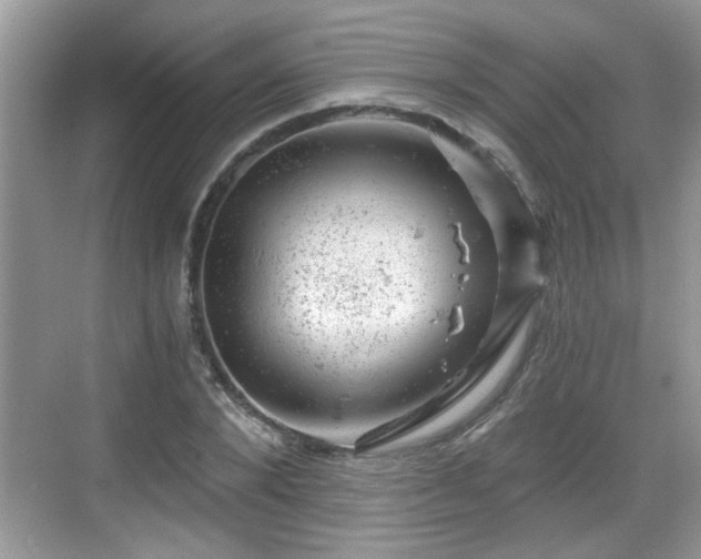 X0000068850880200605121406