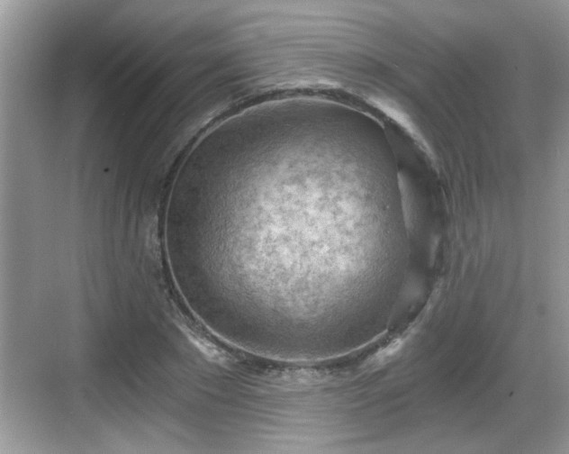 X0000068850881200605121406