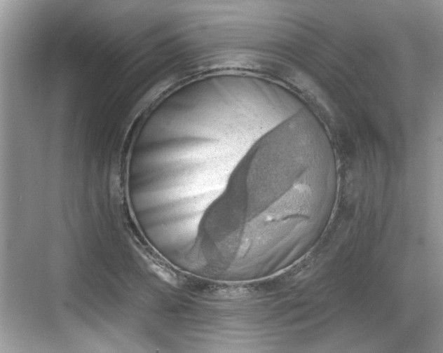 X0000068850882200605121406