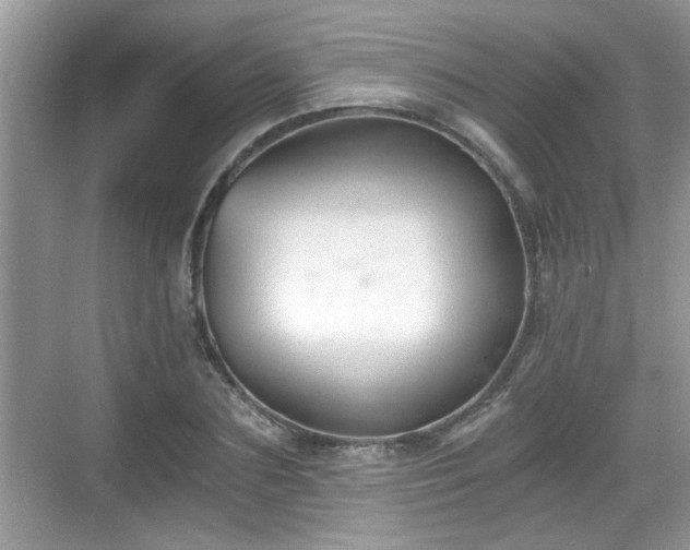 X0000068850883200605121406