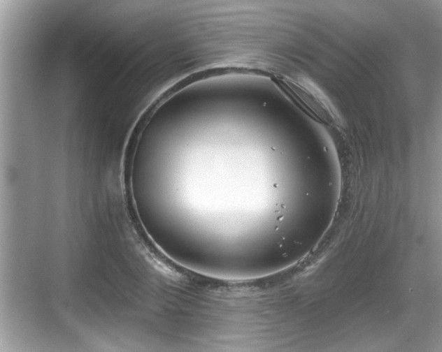 X0000068850884200605121406