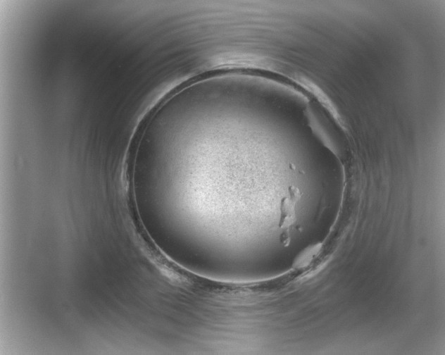 X0000068850885200605121406