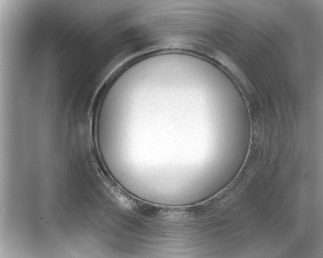 X0000068850886200605121406