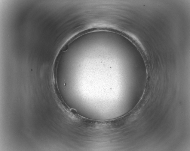 X0000068850887200605121406