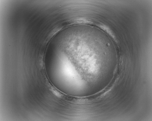 X0000068850889200605121406