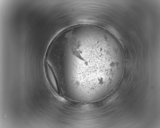 X0000068850891200605121406