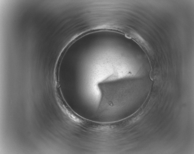 X0000068850892200605121406