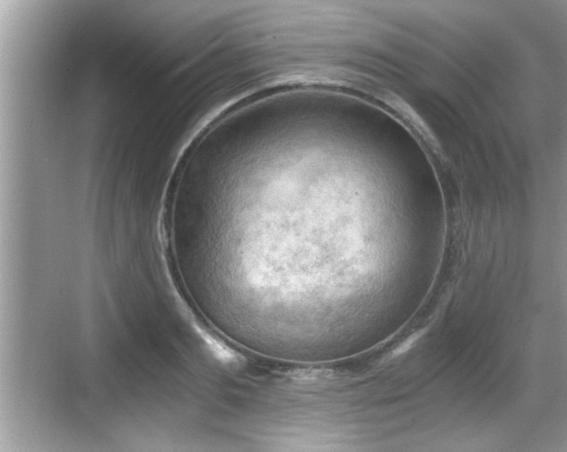 X0000068850893200605121406