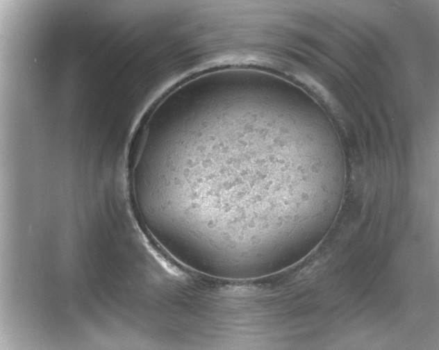 X0000068850894200605121406