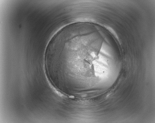 X0000068850895200605121406