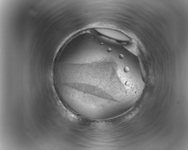 X0000068850896200605121406