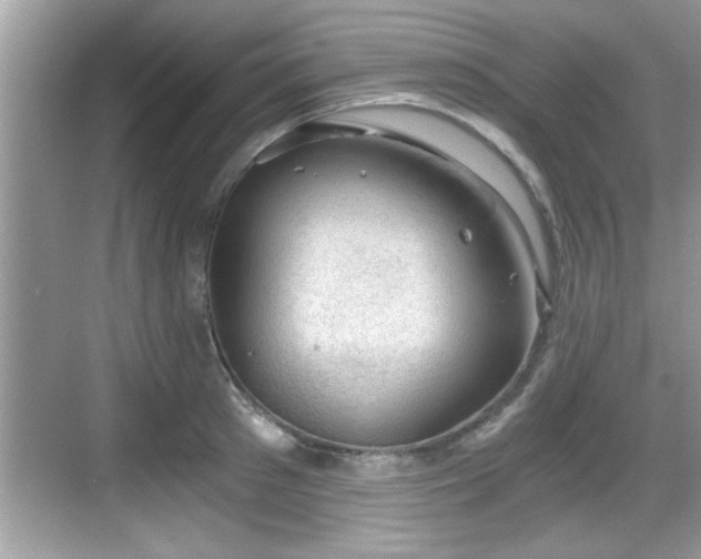 X0000068850897200605121406