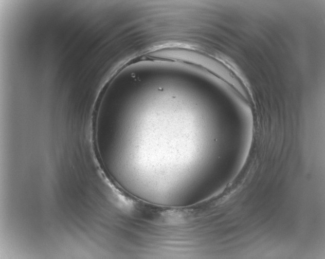 X0000068850898200605121406