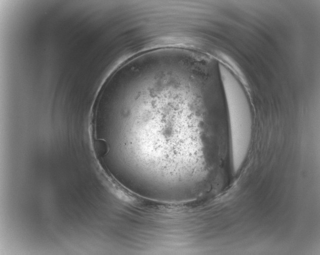 X0000068850899200605121406