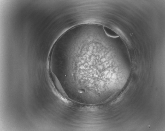 X0000068850900200605121406