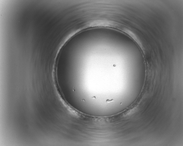 X0000068850901200605121406