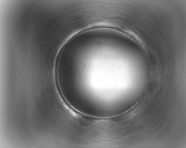 X0000068850902200605121406