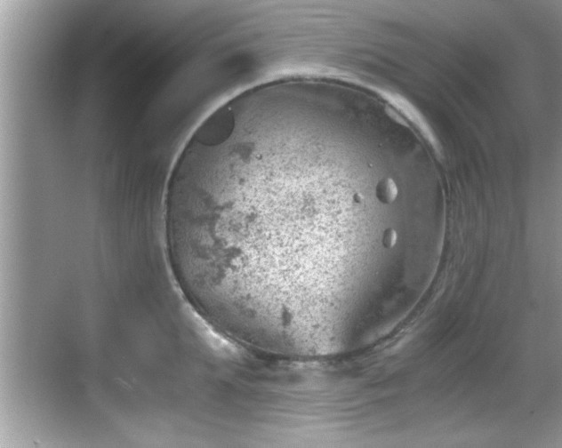 X0000068850903200605121406