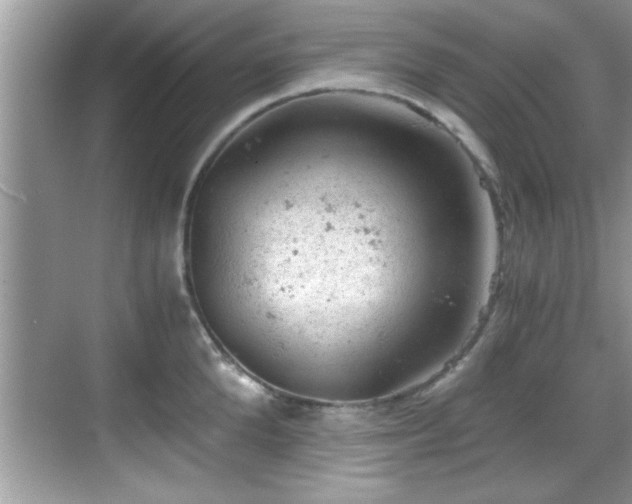 X0000068850904200605121406