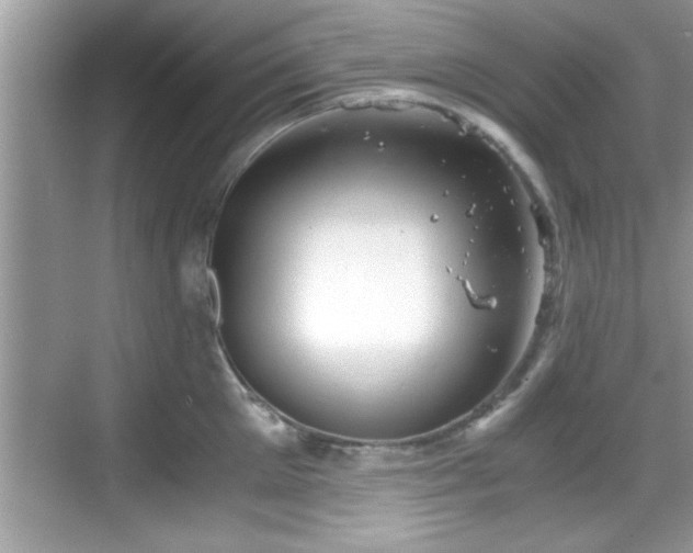 X0000068850905200605121406