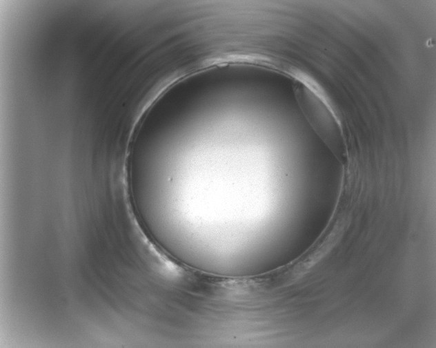 X0000068850906200605121406