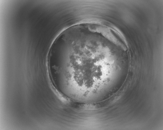 X0000068850907200605121406