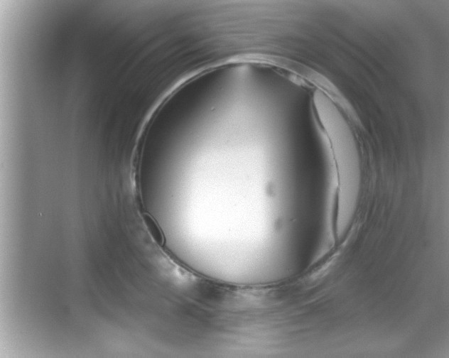 X0000068850908200605121406