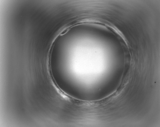 X0000068850909200605121406