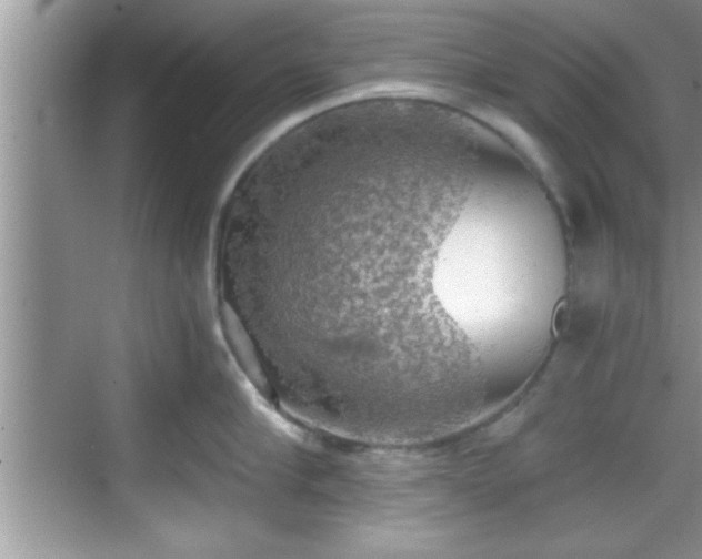 X0000068850910200605121406