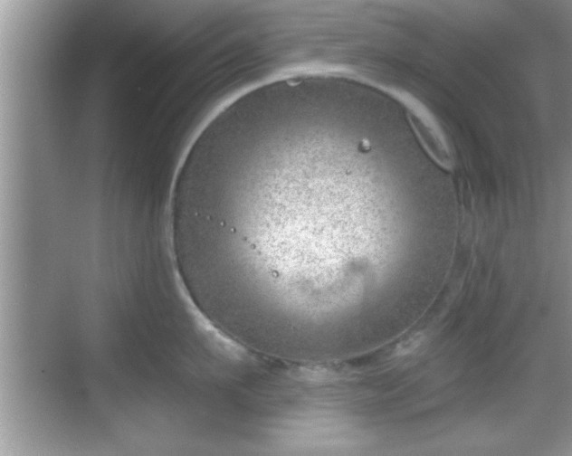 X0000068850911200605121406