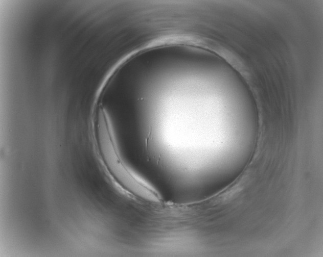 X0000068850912200605121406