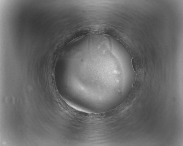 X0000068850913200605121405